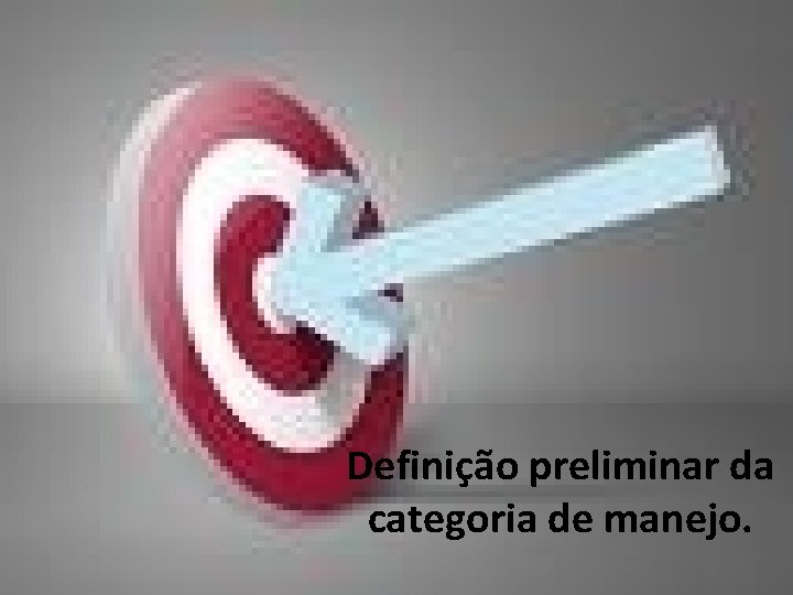 Definição preliminar da categoria de manejo. 