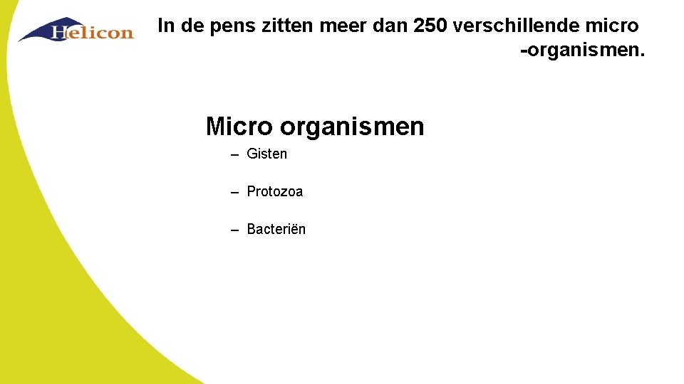 In de pens zitten meer dan 250 verschillende micro -organismen. Micro organismen – Gisten
