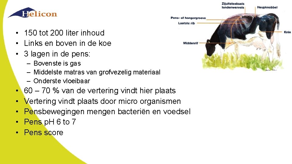 De pens • 150 tot 200 liter inhoud • Links en boven in de