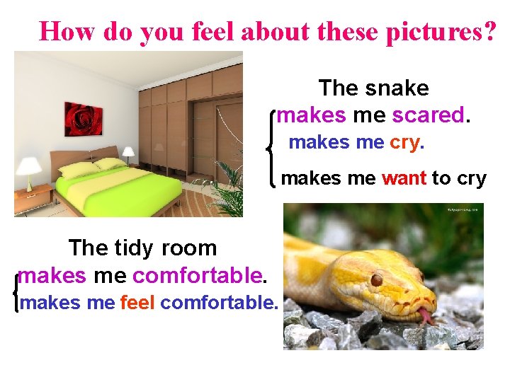 How do you feel about these pictures? The snake makes me scared. makes me
