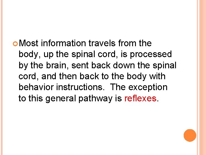  Most information travels from the body, up the spinal cord, is processed by