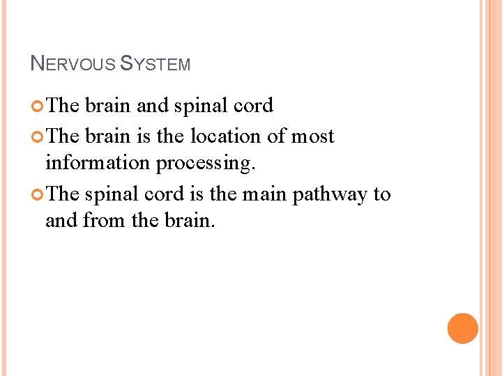 NERVOUS SYSTEM The brain and spinal cord The brain is the location of most