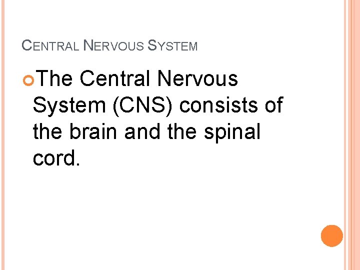 CENTRAL NERVOUS SYSTEM The Central Nervous System (CNS) consists of the brain and the