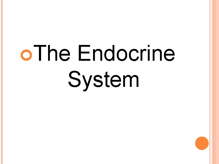  The Endocrine System 