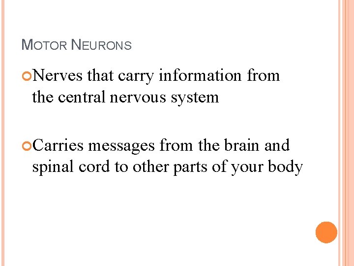 MOTOR NEURONS Nerves that carry information from the central nervous system Carries messages from
