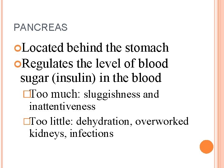 PANCREAS Located behind the stomach Regulates the level of blood sugar (insulin) in the