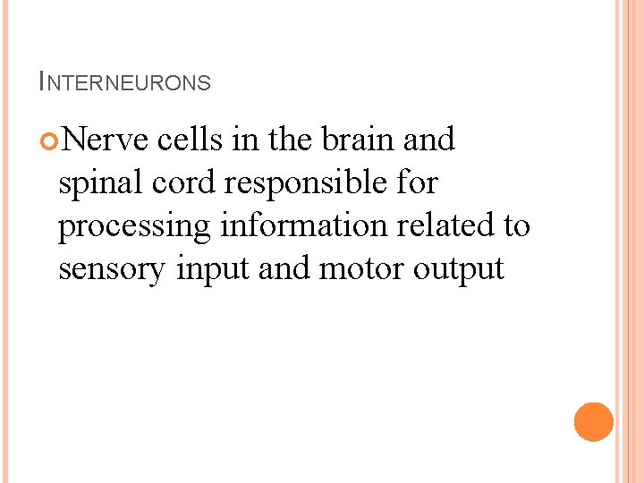 INTERNEURONS Nerve cells in the brain and spinal cord responsible for processing information related