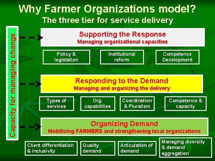 Why Farmer Organizations model? Capacity for managing change The three tier for service delivery