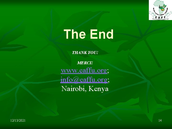 The End THANK YOU! MERCI! www. eaffu. org; info@eaffu. org; Nairobi, Kenya 12/13/2021 14