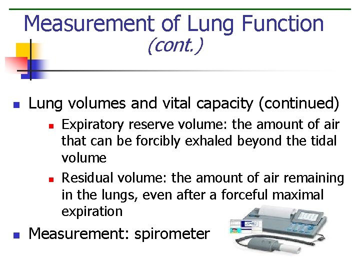 Measurement of Lung Function (cont. ) n Lung volumes and vital capacity (continued) n