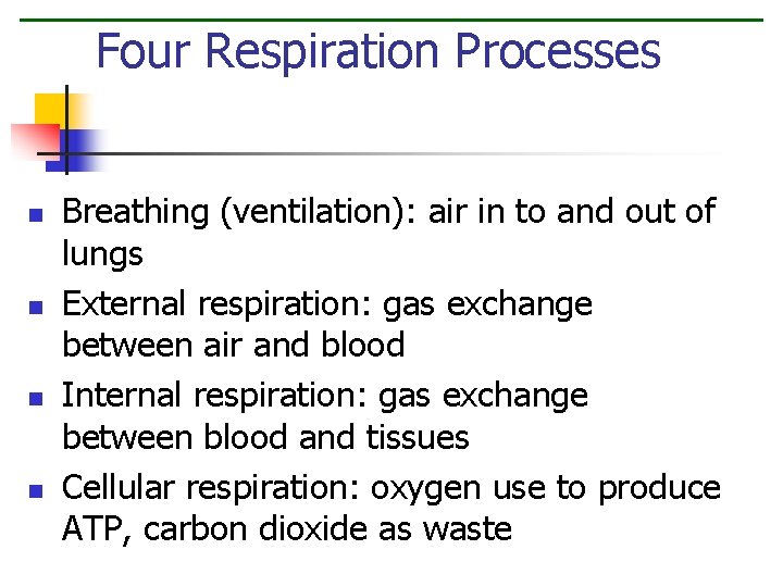 Four Respiration Processes n n Breathing (ventilation): air in to and out of lungs