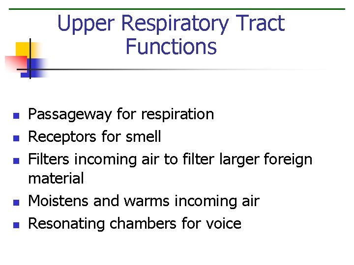 Upper Respiratory Tract Functions n n n Passageway for respiration Receptors for smell Filters