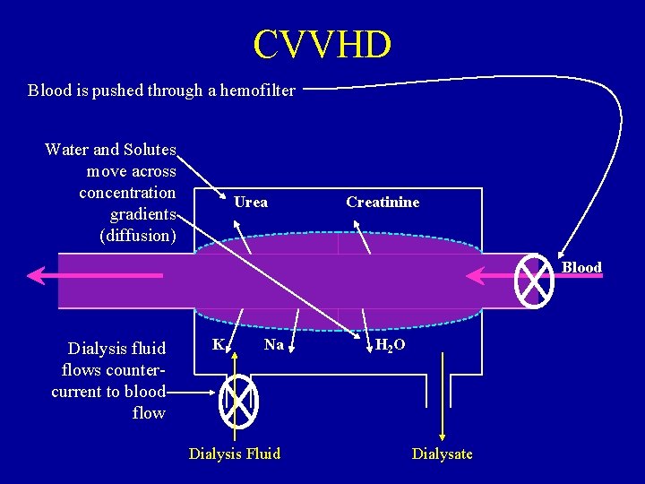 CVVHD Blood is pushed through a hemofilter Water and Solutes move across concentration gradients