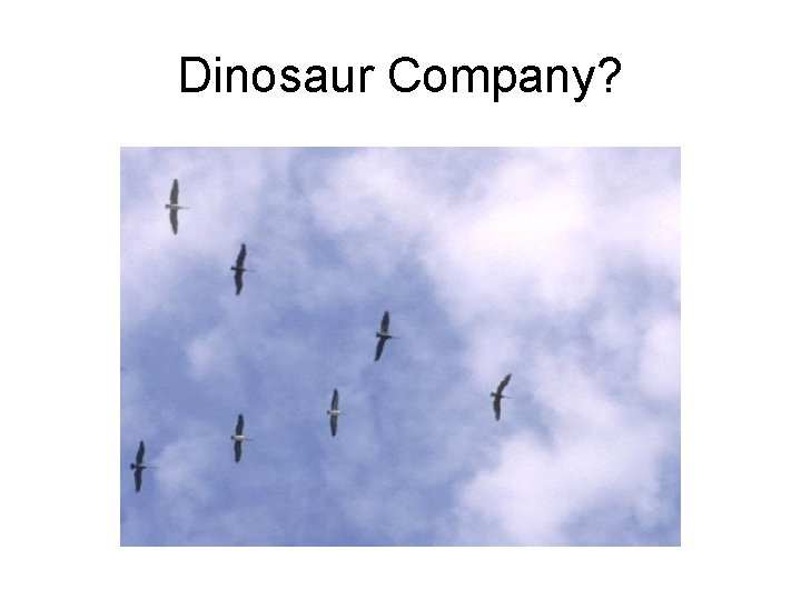 Dinosaur Company? 