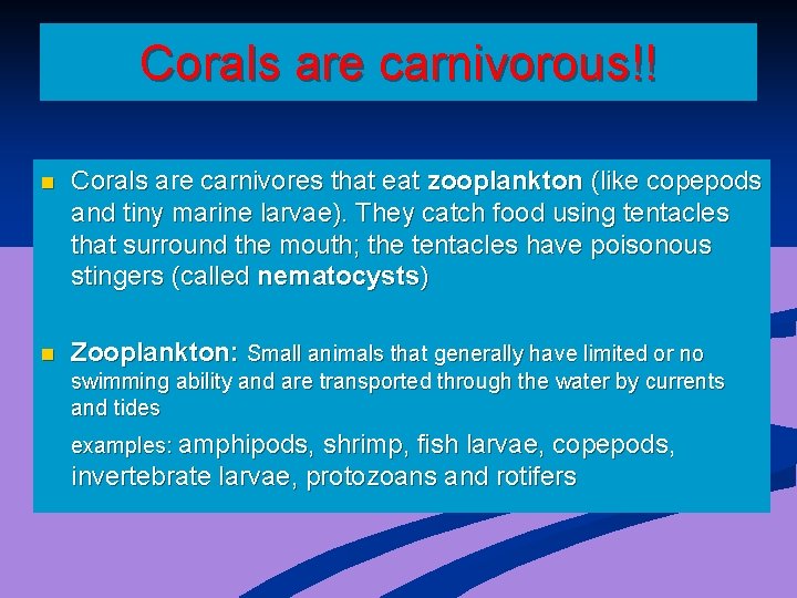 Corals are carnivorous!! n Corals are carnivores that eat zooplankton (like copepods and tiny