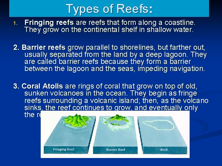Types of Reefs: 1. Fringing reefs are reefs that form along a coastline. They