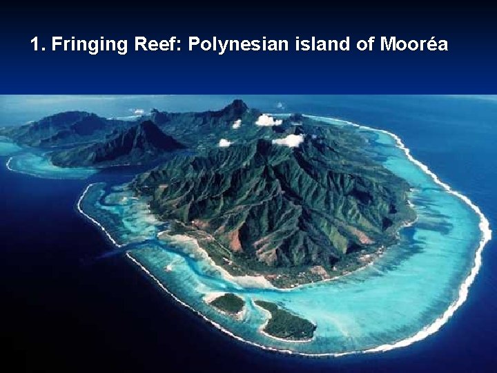 1. Fringing Reef: Polynesian island of Mooréa 