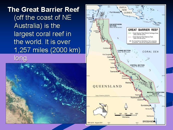 The Great Barrier Reef (off the coast of NE Australia) is the largest coral