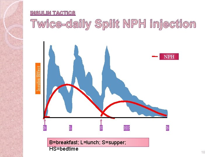 INSULIN TACTICS Twice-daily Split NPH injection Insulin Effect NPH B L S HS B=breakfast;
