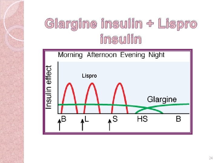 Glargine insulin + Lispro insulin Lispro 24 