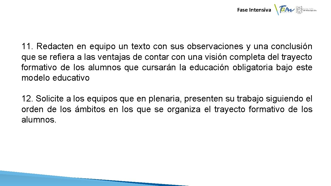 Fase Intensiva 11. Redacten en equipo un texto con sus observaciones y una conclusión