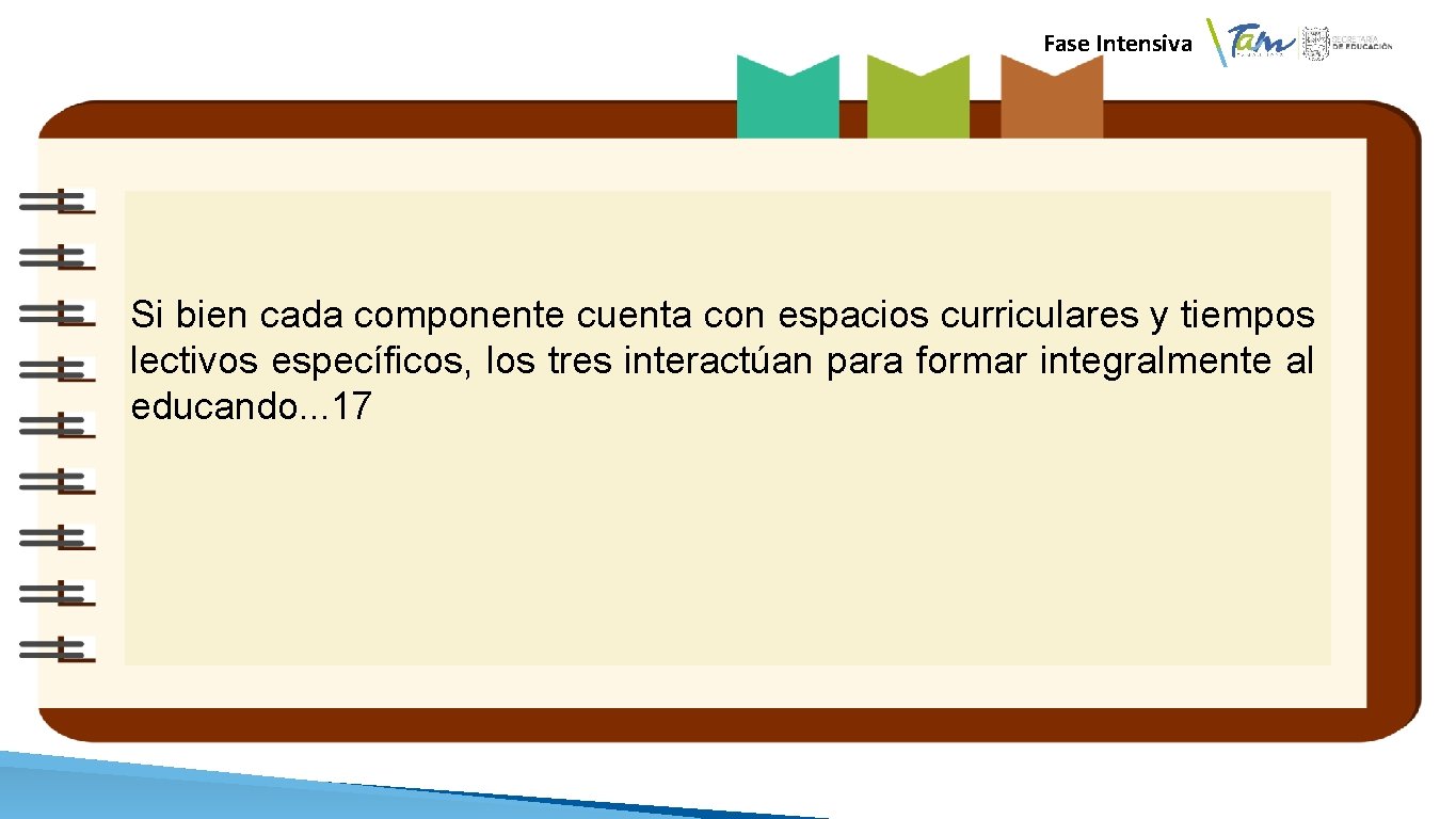 Fase Intensiva Si bien cada componente cuenta con espacios curriculares y tiempos lectivos específicos,