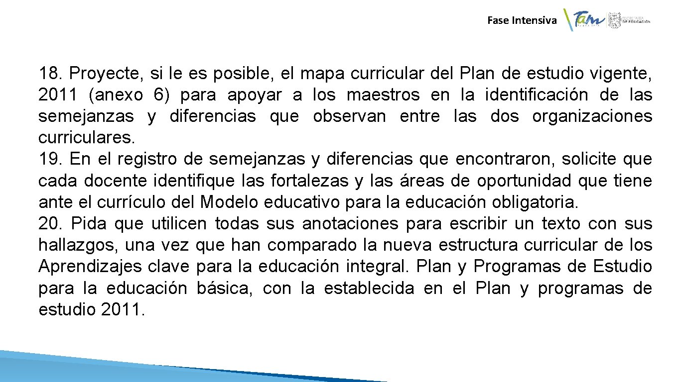 Fase Intensiva Por ejemplo: 18. Proyecte, si le es posible, el mapa curricular del