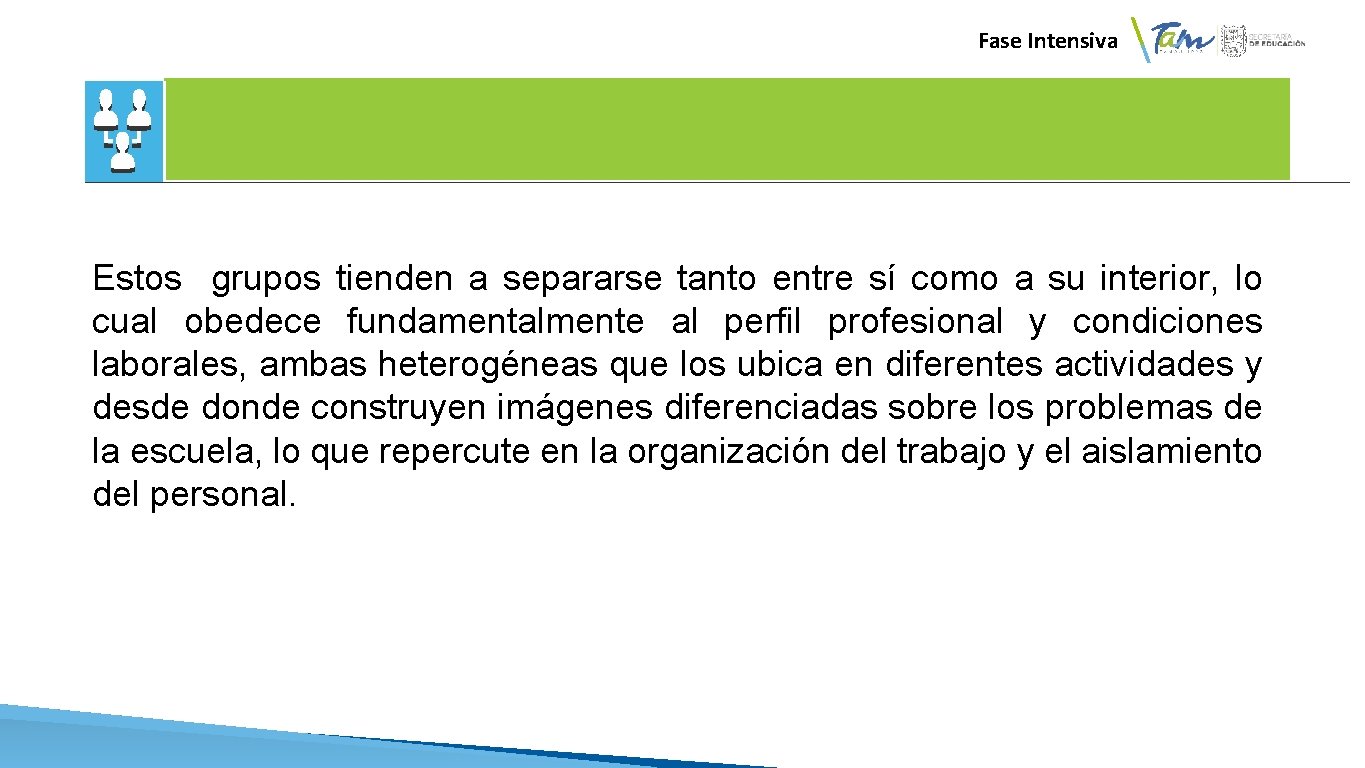 Fase Intensiva Estos grupos tienden a separarse tanto entre sí como a su interior,