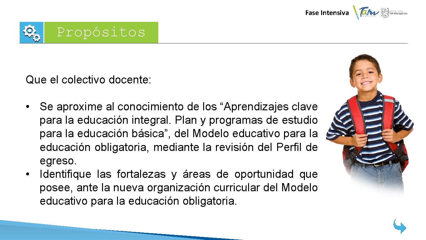 Fase Intensiva Propósitos Que el colectivo docente: • Se aproxime al conocimiento de los