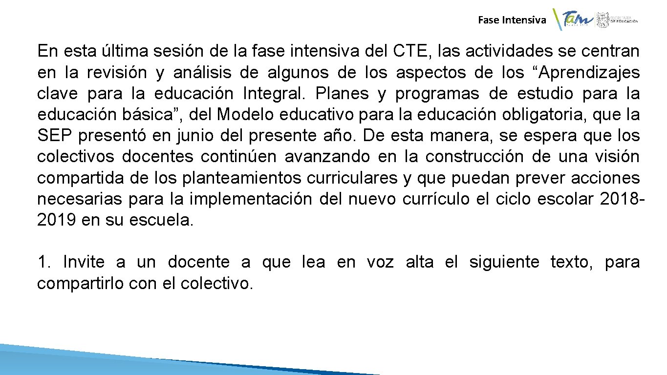 Fase Intensiva En esta última sesión de la fase intensiva del CTE, las actividades