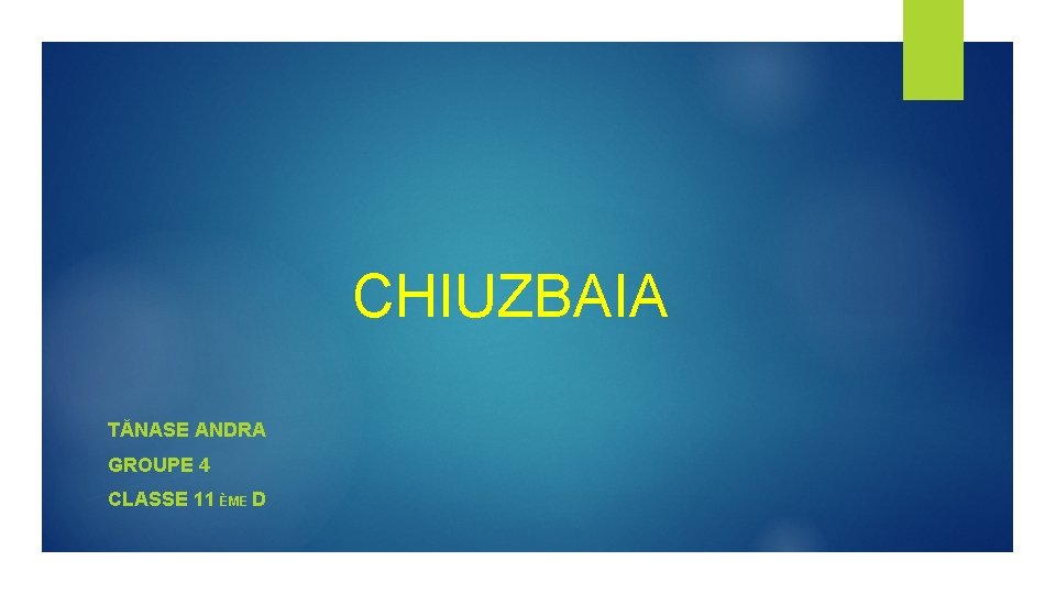 CHIUZBAIA TĂNASE ANDRA GROUPE 4 CLASSE 11 ÈME D 