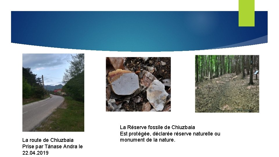 La route de Chiuzbaia Prise par Tănase Andra le 22. 04. 2019 La Réserve