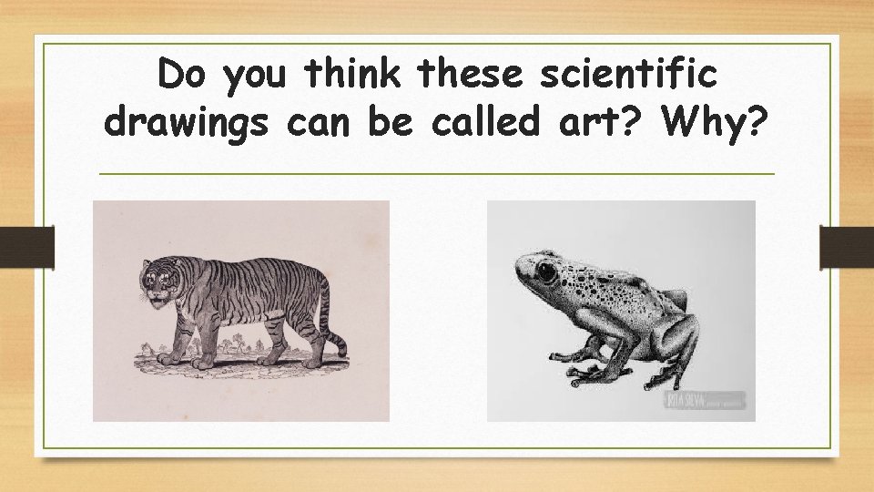 Do you think these scientific drawings can be called art? Why? 