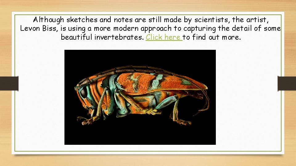 Although sketches and notes are still made by scientists, the artist, Levon Biss, is