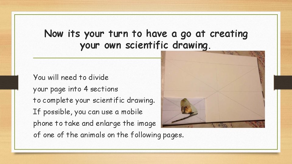 Now its your turn to have a go at creating your own scientific drawing.