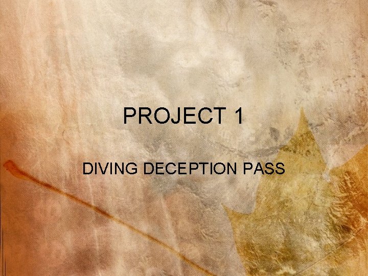 PROJECT 1 DIVING DECEPTION PASS 