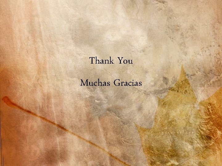 Thank You Muchas Gracias 