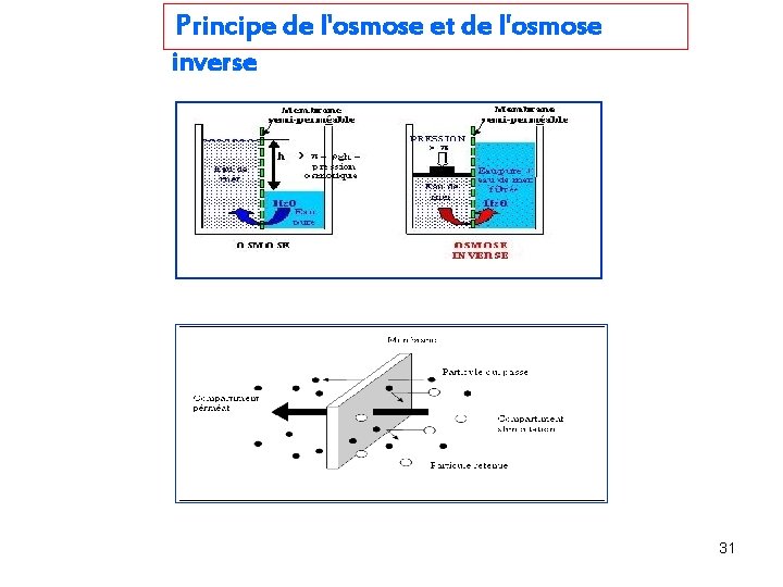 Principe de l'osmose et de l'osmose inverse 31 