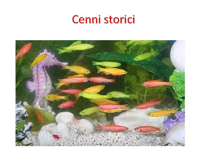 Cenni storici 