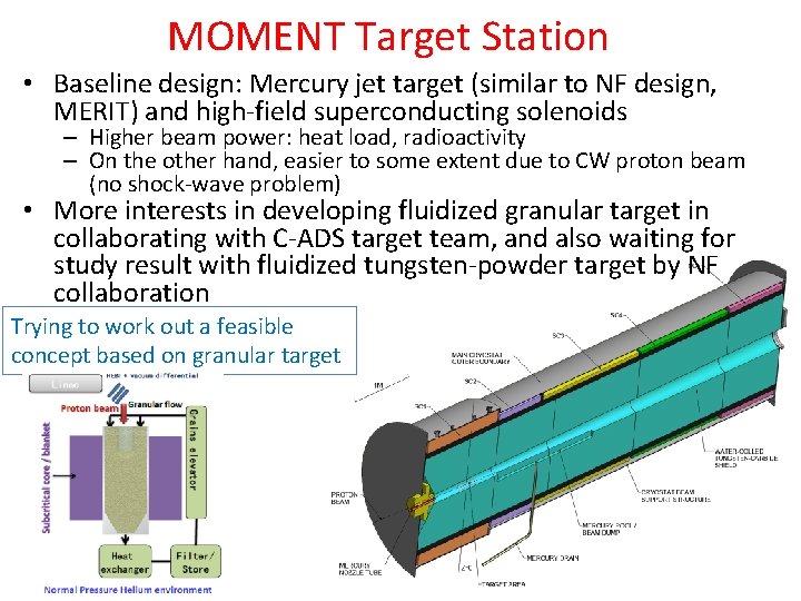MOMENT Target Station • Baseline design: Mercury jet target (similar to NF design, MERIT)