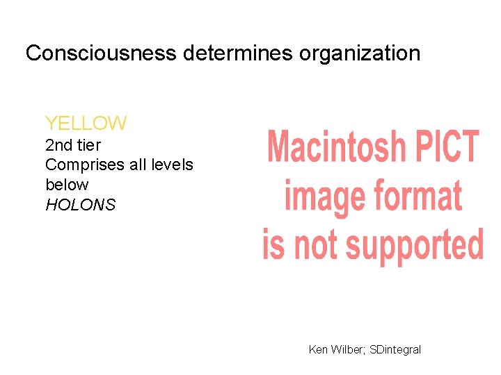 Consciousness determines organization YELLOW 2 nd tier Comprises all levels below HOLONS Ken Wilber;