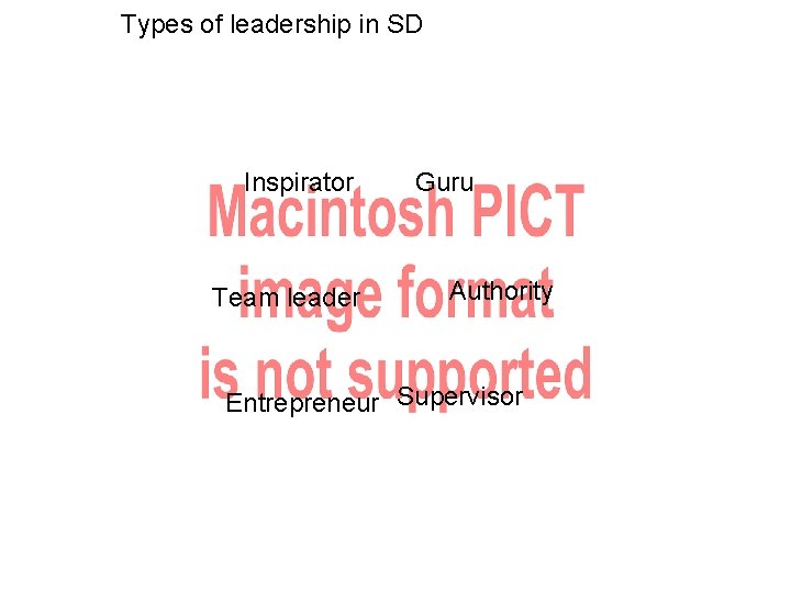 Types of leadership in SD Inspirator Team leader Guru Authority Entrepreneur Supervisor 