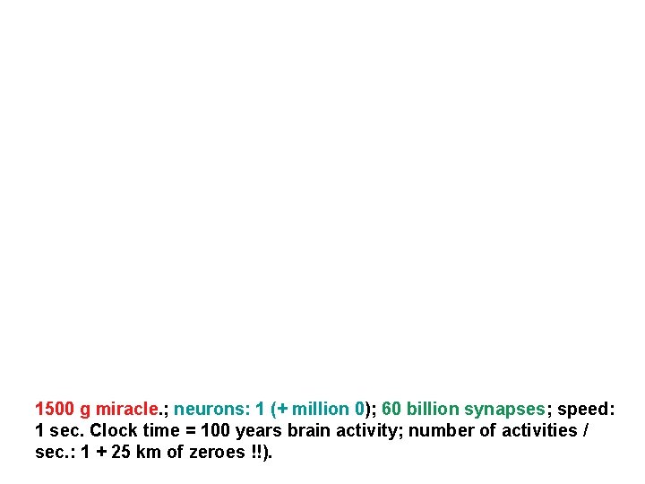 1500 g miracle. ; neurons: 1 (+ million 0); 60 billion synapses; speed: 1