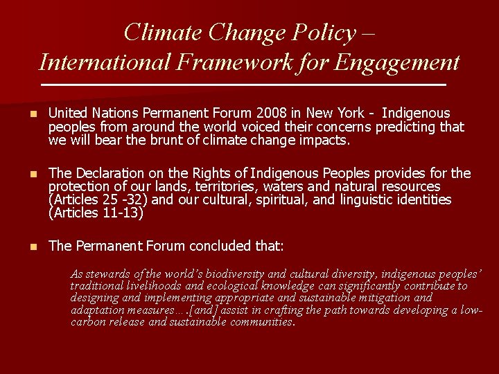 Climate Change Policy – International Framework for Engagement n United Nations Permanent Forum 2008