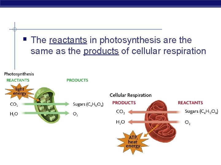 § The reactants in photosynthesis are the same as the products of cellular respiration