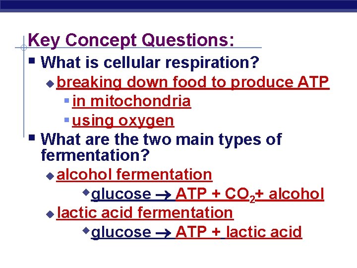 Key Concept Questions: § What is cellular respiration? breaking down food to produce ATP