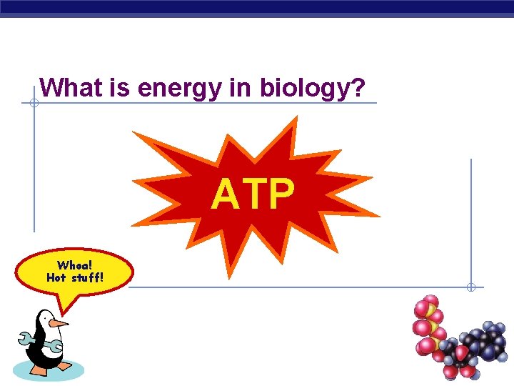 What is energy in biology? ATP Whoa! Hot stuff! 