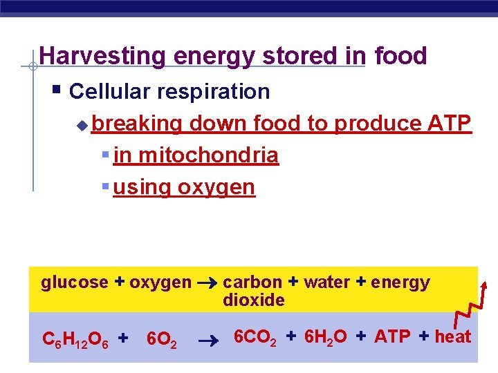 Harvesting energy stored in food § Cellular respiration u breaking down food to produce