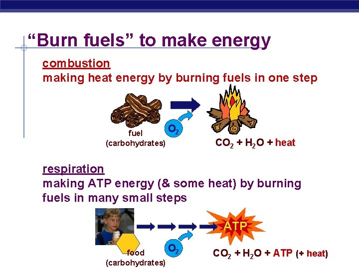 “Burn fuels” to make energy combustion making heat energy by burning fuels in one