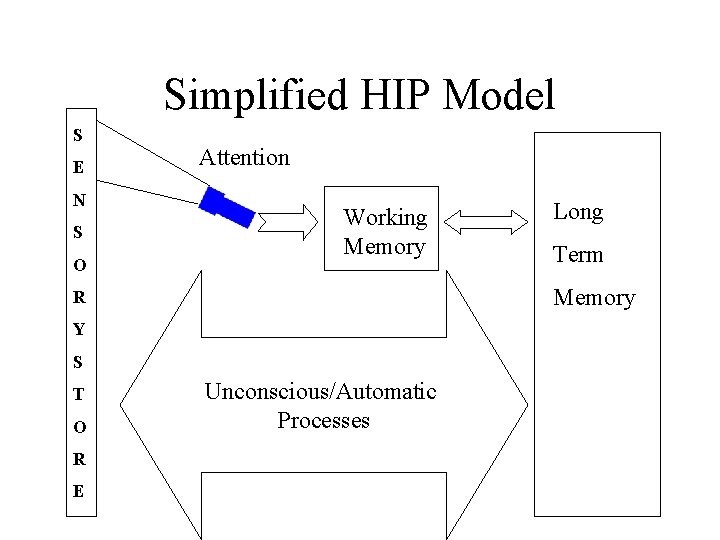Simplified HIP Model S E N S O Attention Working Memory Y S O